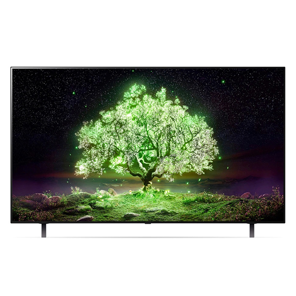 [LG] OLED 65인치 벽걸이형 TV